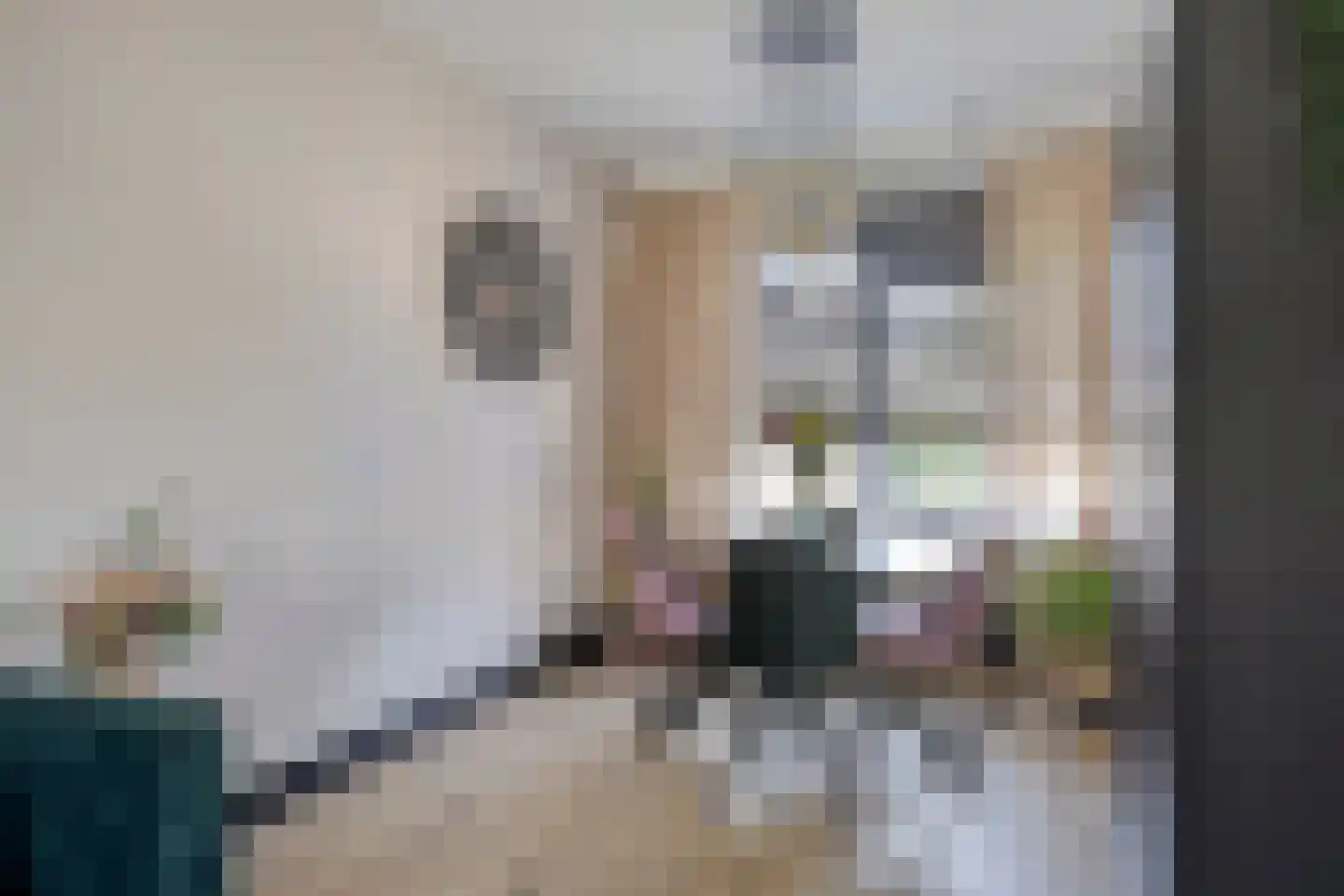 Heer Janstraat 17 Zaamslag thumbnail 11