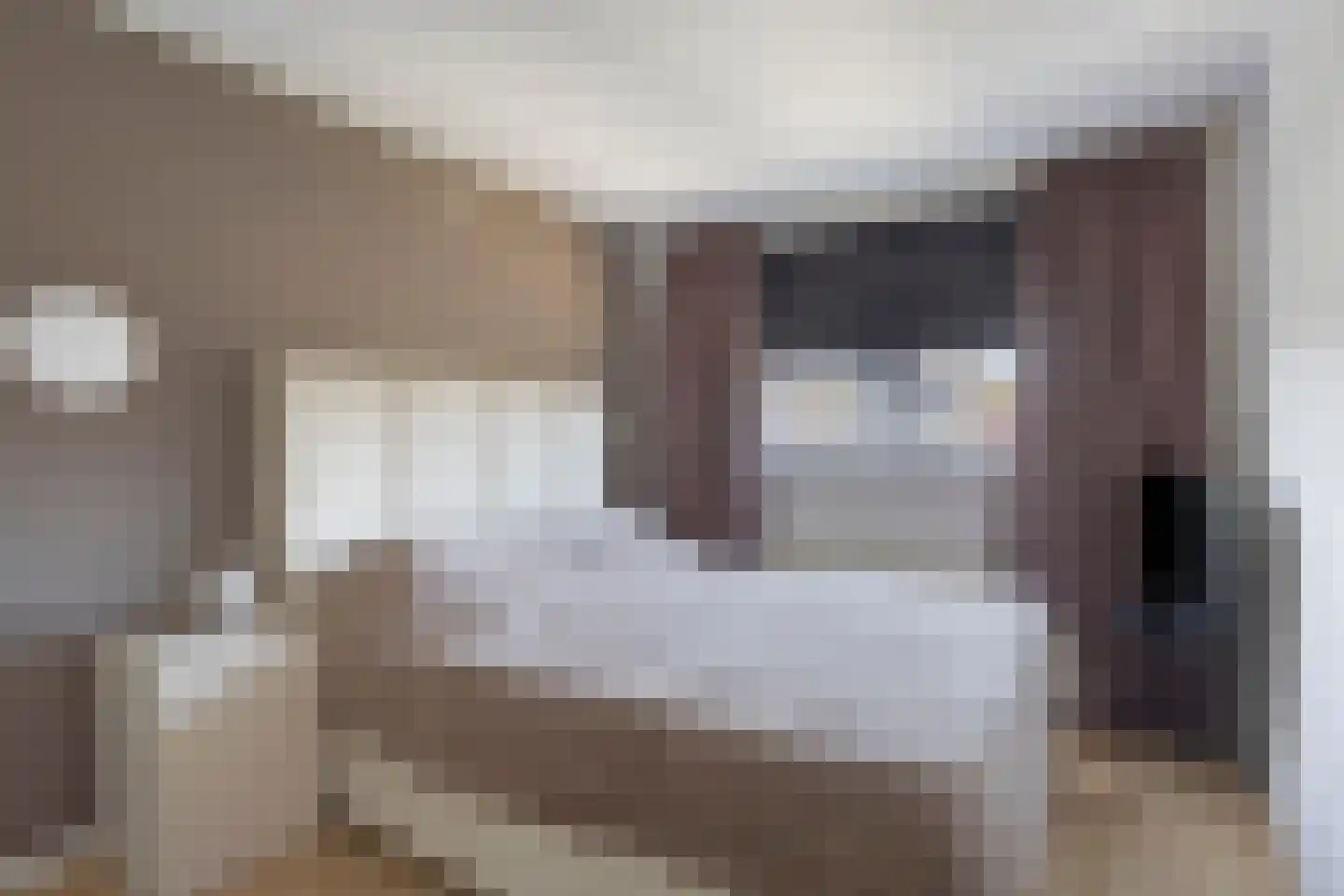 Heer Janstraat 17 Zaamslag thumbnail 5