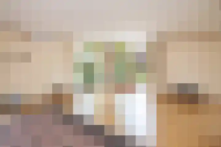 Heer Janstraat 2 A Heerjansdam thumbnail 10