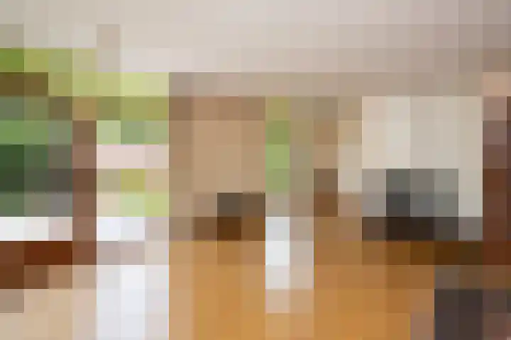 Heer Janstraat 2 A Heerjansdam thumbnail 12