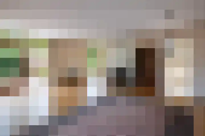 Heer Janstraat 2 A Heerjansdam thumbnail 13