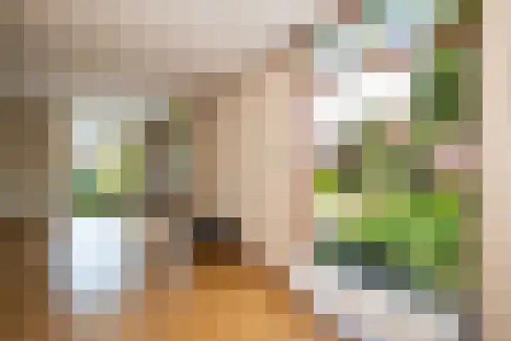 Heer Janstraat 2 A Heerjansdam thumbnail 16