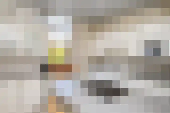 Heer Janstraat 2 A Heerjansdam thumbnail 17