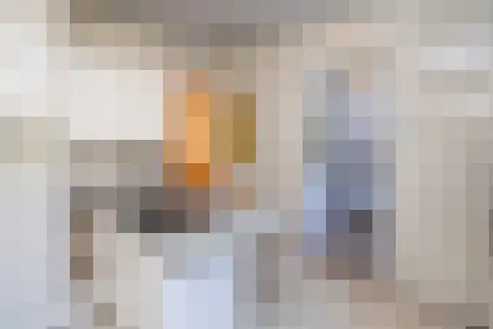 Heer Janstraat 2 A Heerjansdam thumbnail 19