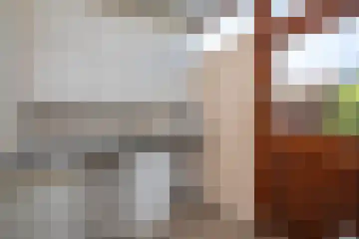 Heer Janstraat 2 A Heerjansdam thumbnail 20