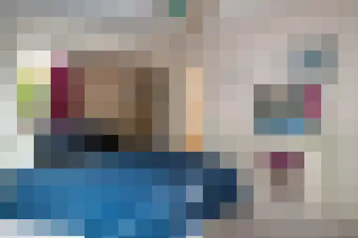 Heer Janstraat 2 A Heerjansdam thumbnail 23