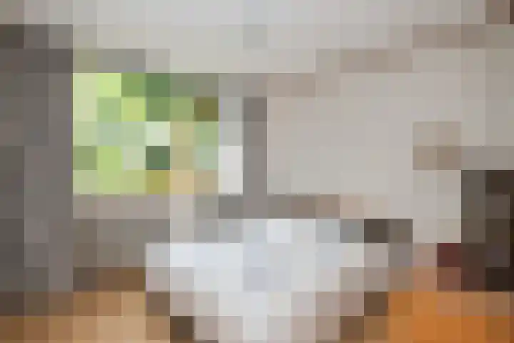 Heer Janstraat 2 A Heerjansdam thumbnail 24