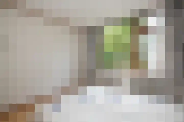 Heer Janstraat 2 A Heerjansdam thumbnail 25