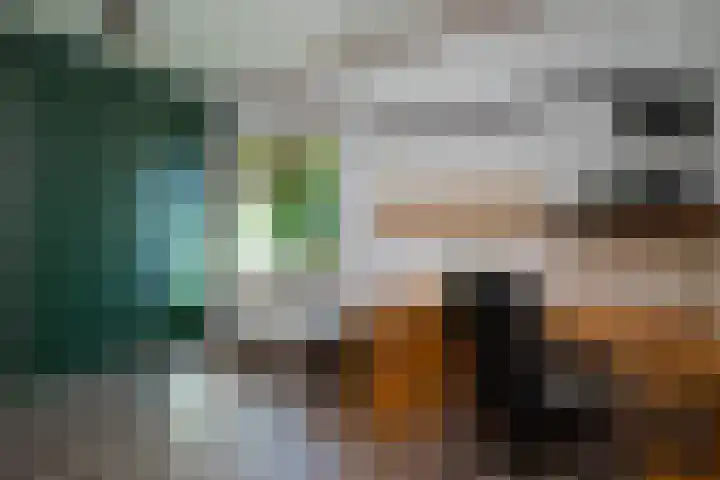 Heer Janstraat 2 A Heerjansdam thumbnail 27