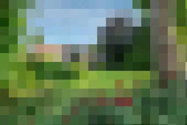 Heer Janstraat 2 A Heerjansdam thumbnail 30