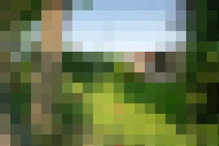Heer Janstraat 2 A Heerjansdam thumbnail 31