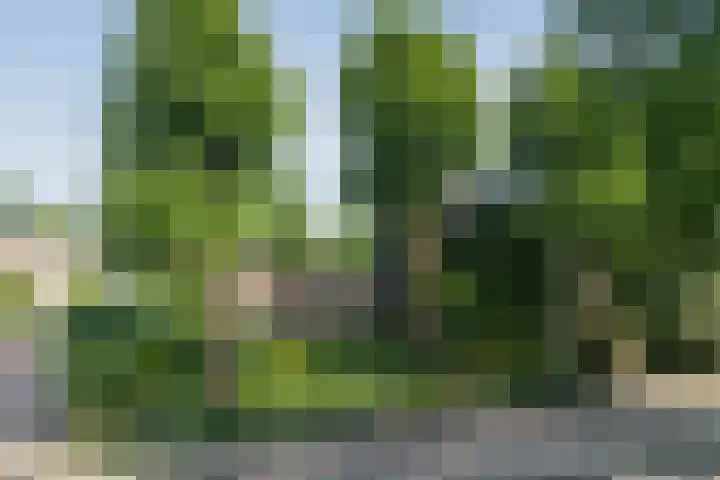 Heer Janstraat 2 A Heerjansdam thumbnail 32