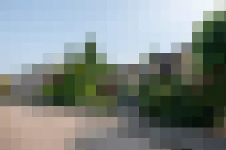 Heer Janstraat 2 A Heerjansdam thumbnail 33