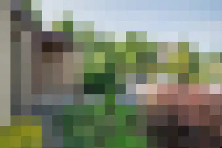 Heer Janstraat 2 A Heerjansdam thumbnail 34