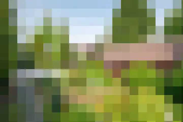 Heer Janstraat 2 A Heerjansdam thumbnail 37