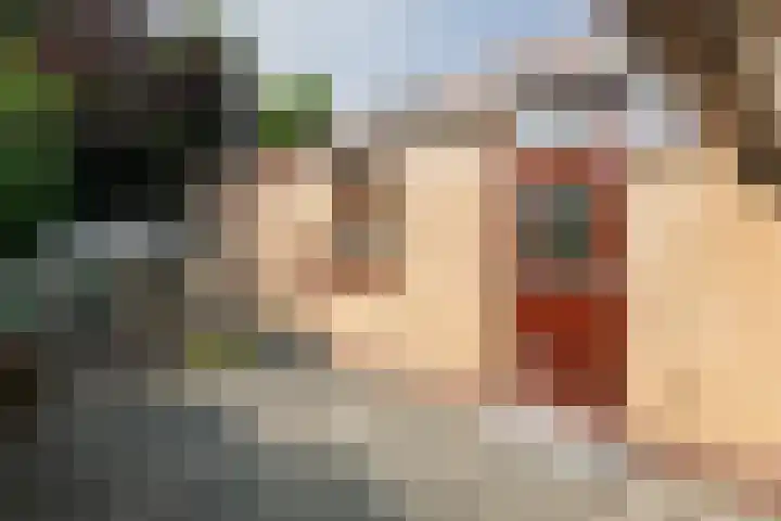 Heer Janstraat 2 A Heerjansdam thumbnail 38
