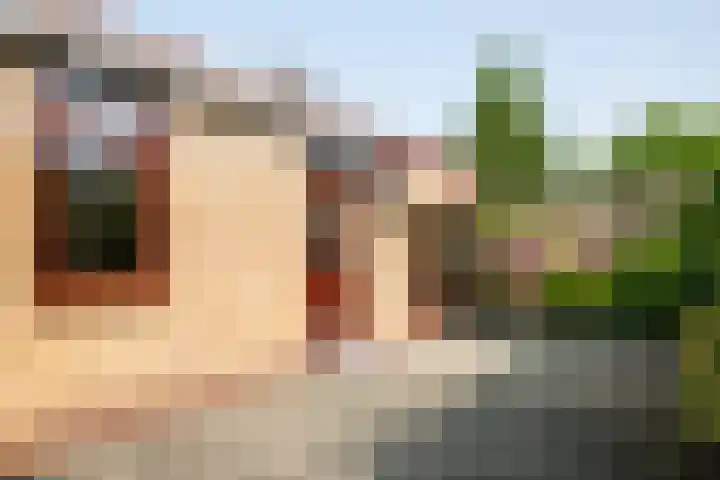 Heer Janstraat 2 A Heerjansdam thumbnail 39