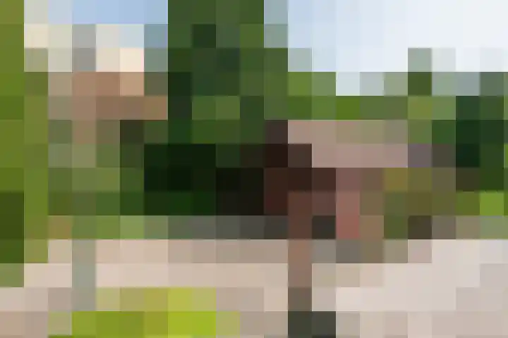 Heer Janstraat 2 A Heerjansdam thumbnail 4
