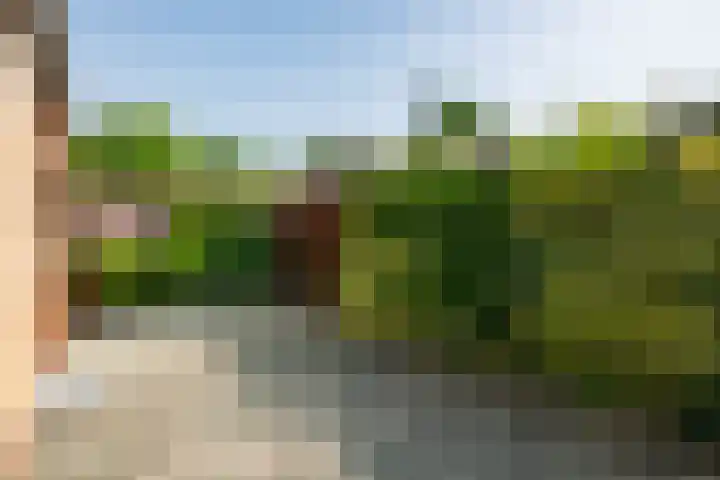 Heer Janstraat 2 A Heerjansdam thumbnail 41