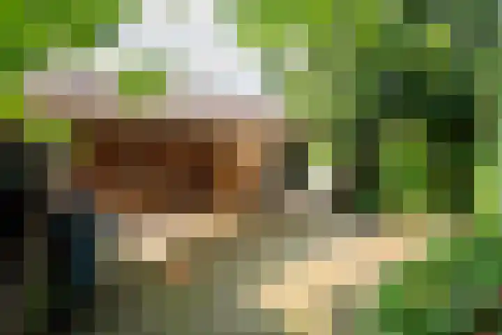 Heer Janstraat 2 A Heerjansdam thumbnail 42