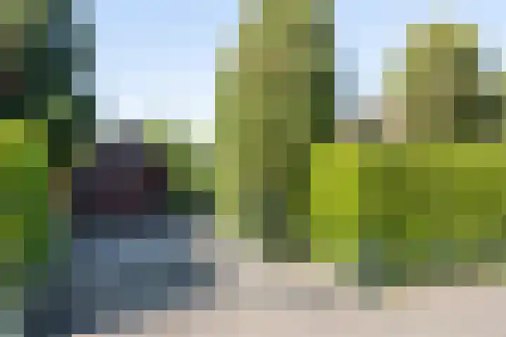 Heer Janstraat 2 A Heerjansdam thumbnail 43