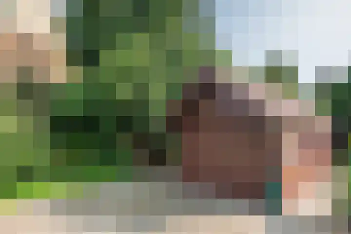 Heer Janstraat 2 A Heerjansdam thumbnail 44
