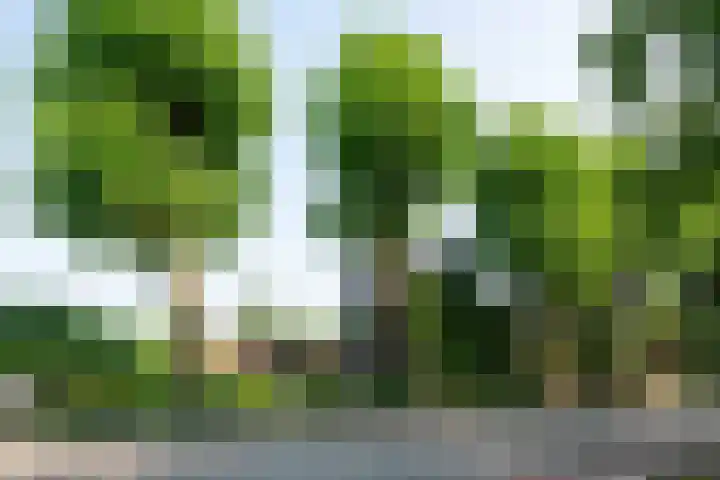 Heer Janstraat 2 A Heerjansdam thumbnail 46