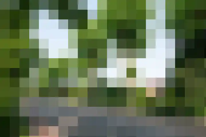 Heer Janstraat 2 A Heerjansdam thumbnail 47