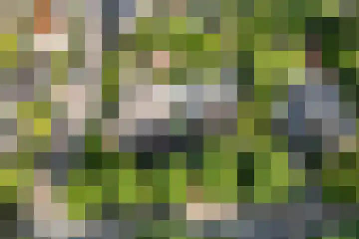 Heer Janstraat 2 A Heerjansdam thumbnail 48