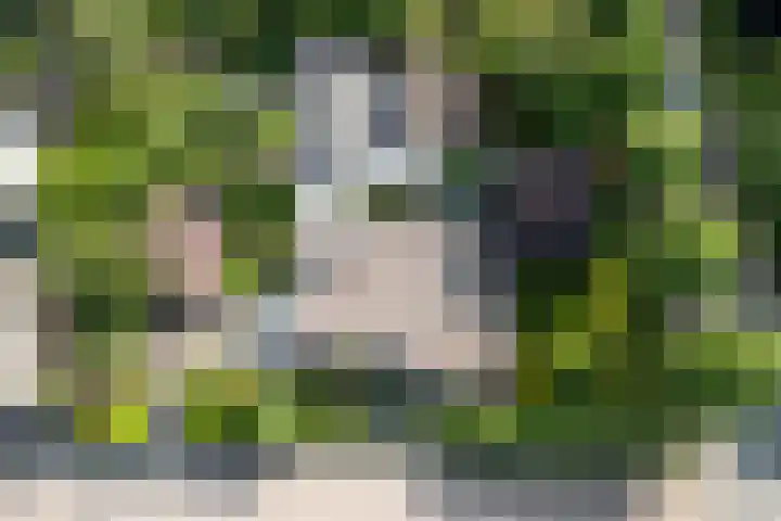 Heer Janstraat 2 A Heerjansdam thumbnail 49