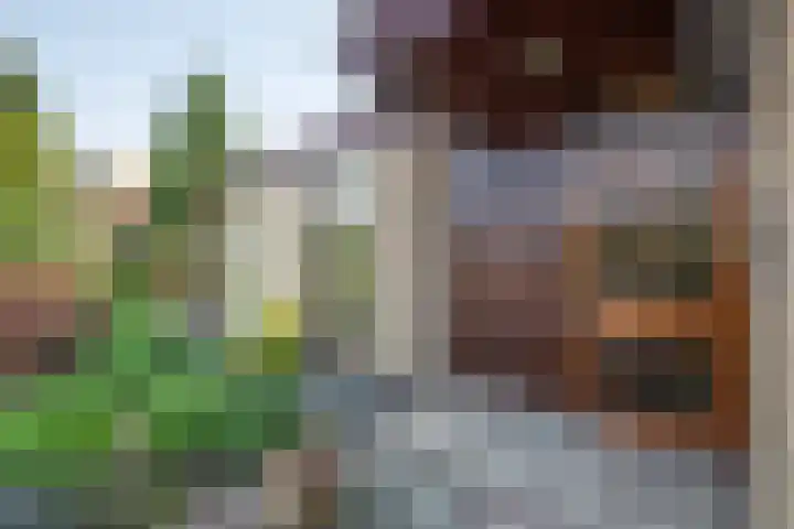 Heer Janstraat 2 A Heerjansdam thumbnail 5