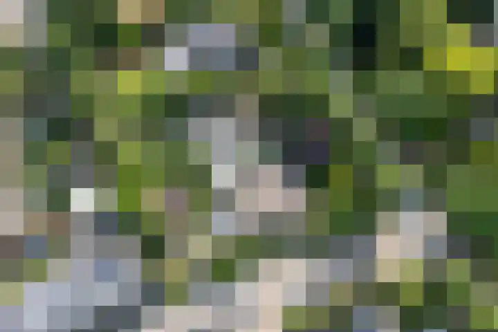 Heer Janstraat 2 A Heerjansdam thumbnail 50