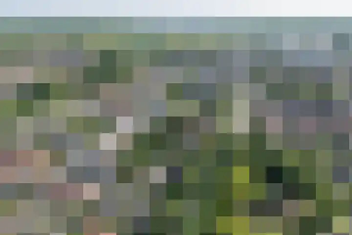 Heer Janstraat 2 A Heerjansdam thumbnail 52