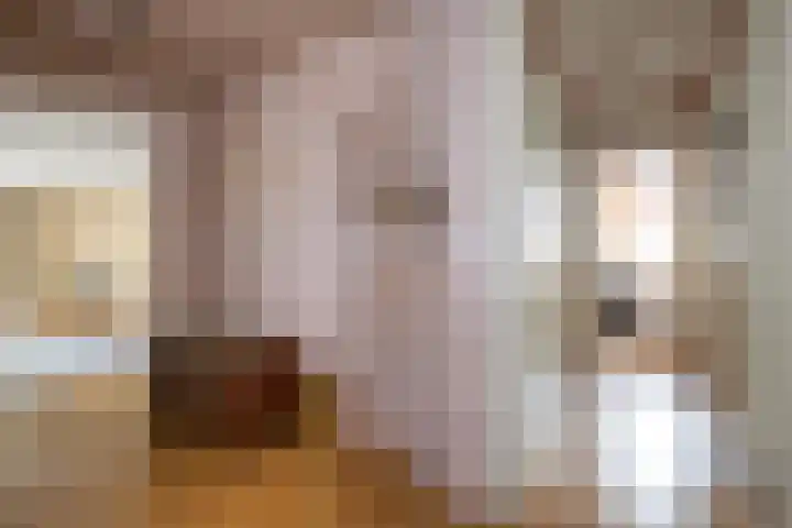 Heer Janstraat 2 A Heerjansdam thumbnail 8