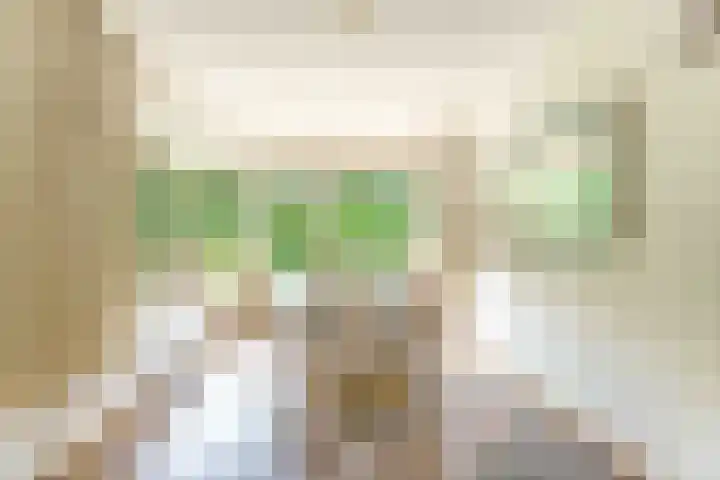 Heer Janszdorp 29 Kamperland thumbnail 10