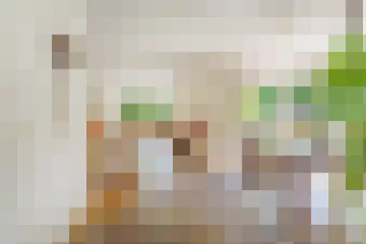 Heer Janszdorp 29 Kamperland thumbnail 11