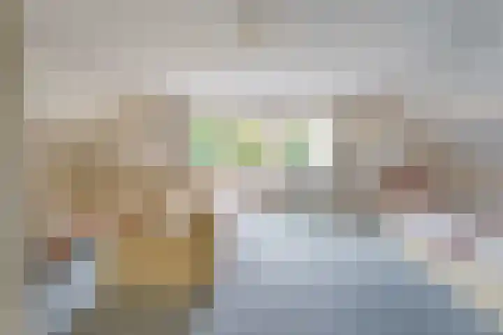 Heer Janszdorp 29 Kamperland thumbnail 19