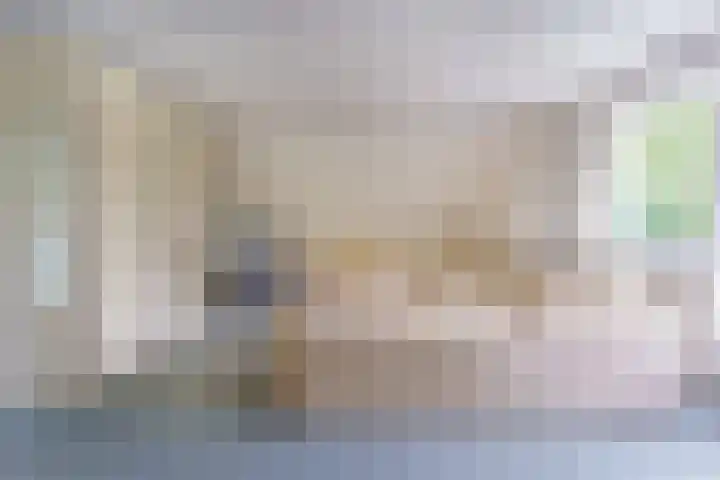 Heer Janszdorp 29 Kamperland thumbnail 20