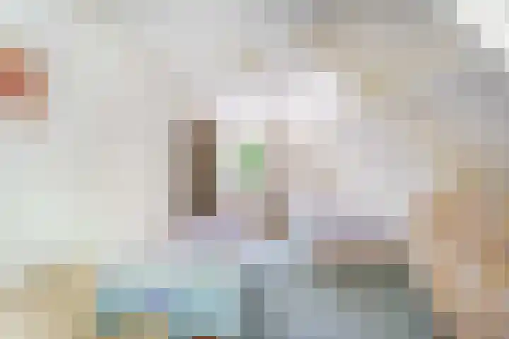 Heer Janszdorp 29 Kamperland thumbnail 22