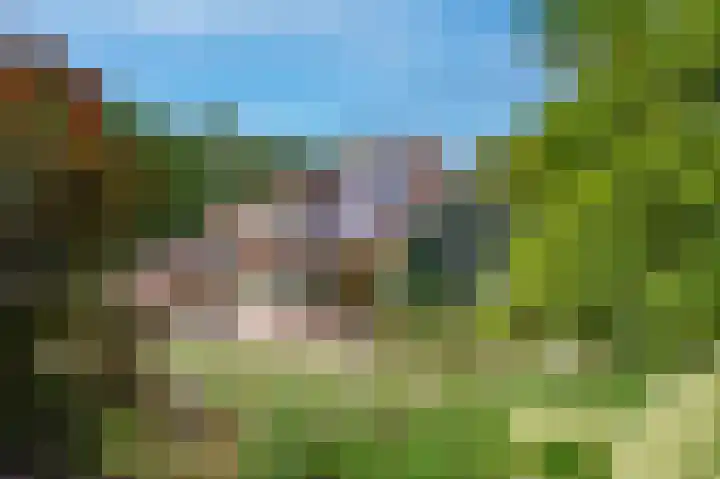 Heer Janszdorp 29 Kamperland thumbnail 27