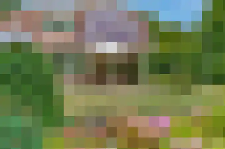 Heer Janszdorp 29 Kamperland thumbnail 28