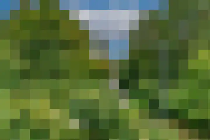 Heer Janszdorp 29 Kamperland thumbnail 29