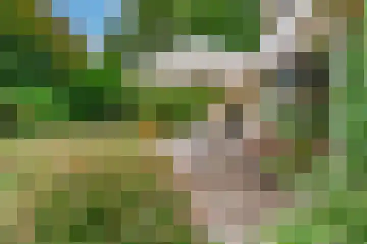 Heer Janszdorp 29 Kamperland thumbnail 31