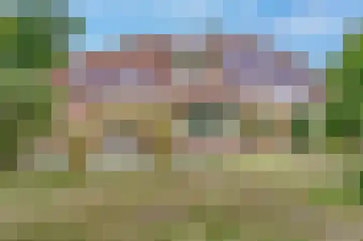 Heer Janszdorp 29 Kamperland thumbnail 33