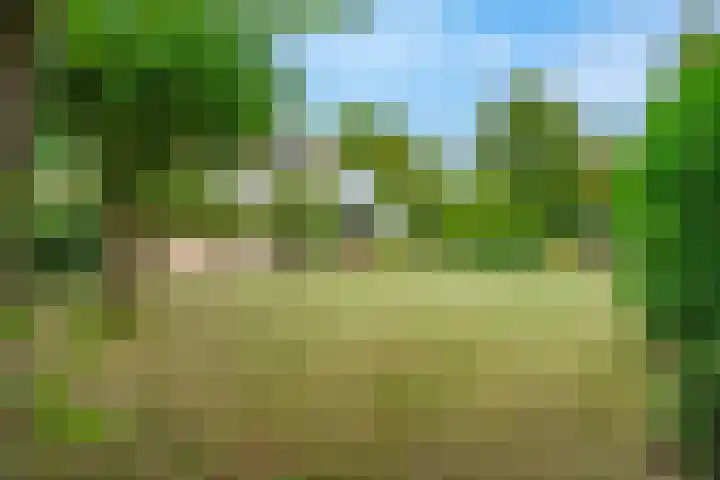 Heer Janszdorp 29 Kamperland thumbnail 4