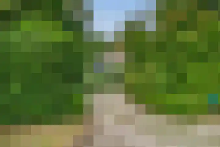 Heer Janszdorp 29 Kamperland thumbnail 5