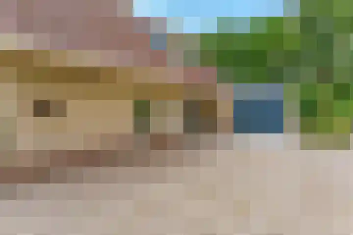 Heer Janszdorp 29 Kamperland thumbnail 6