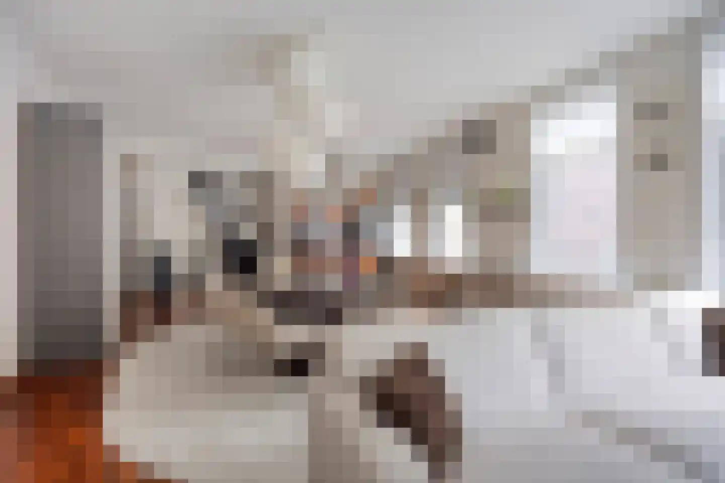 Heer Kerstantstraat 109 A Rotterdam thumbnail 15