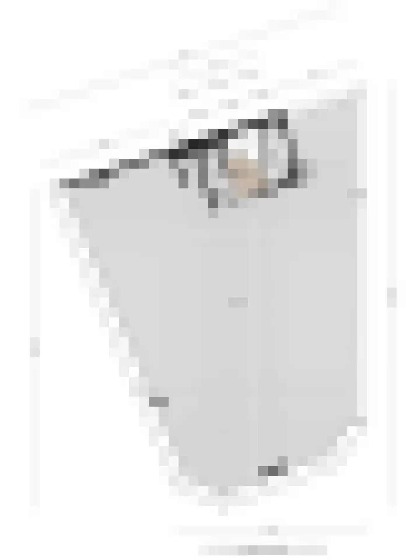 Heer Kerstantstraat 109 A Rotterdam thumbnail 38