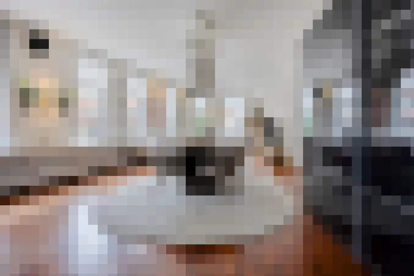Heer Kerstantstraat 109 A Rotterdam thumbnail 5